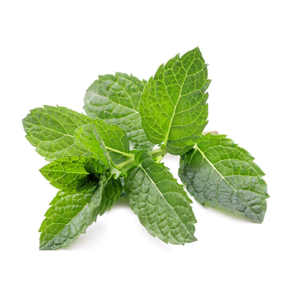 Mint